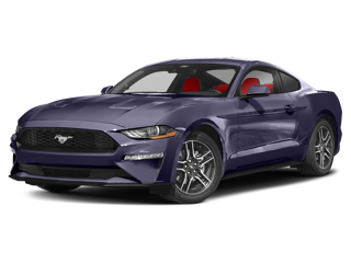 2022 Mustang in Dahlonega, GA