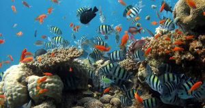 Aquarium in Atlanta, GA