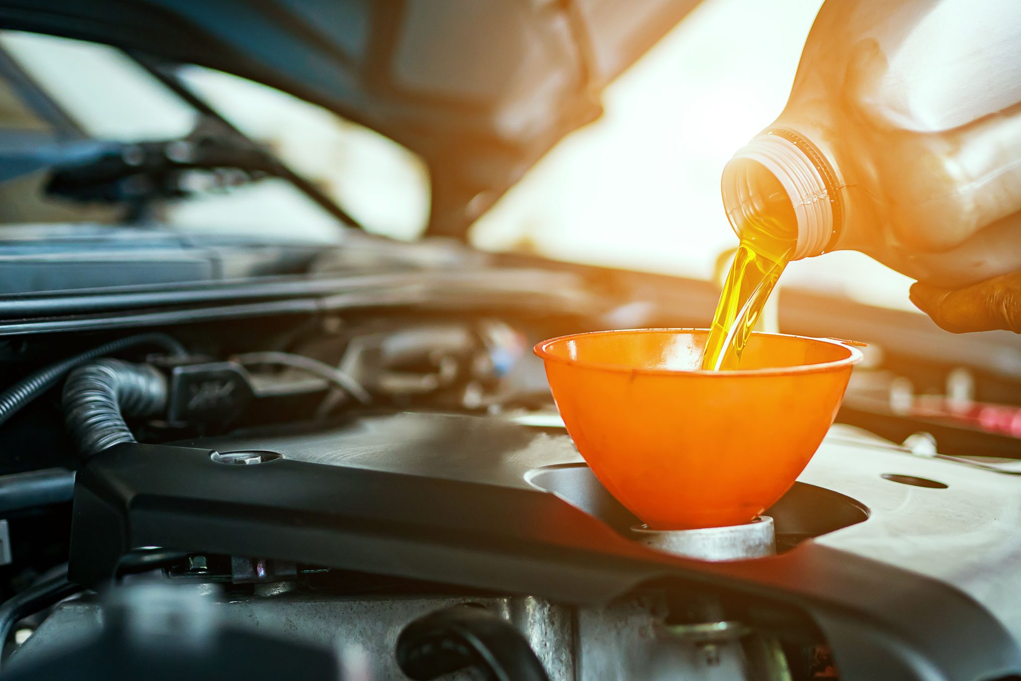 Sheehy Ford Oil Changenull
