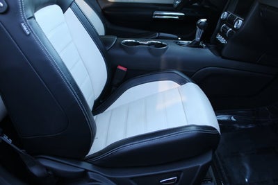 2015 Ford Mustang GT 50 Years Limited Edition