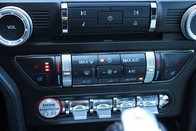 2015 Ford Mustang GT 50 Years Limited Edition