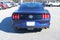 2015 Ford Mustang GT 50 Years Limited Edition