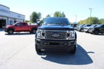 2022 Ford Super Duty F-450 DRW Platinum