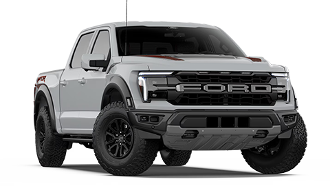 Chestatee Ford in Dahlonega GA