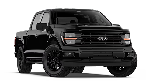 Chestatee Ford in Dahlonega GA