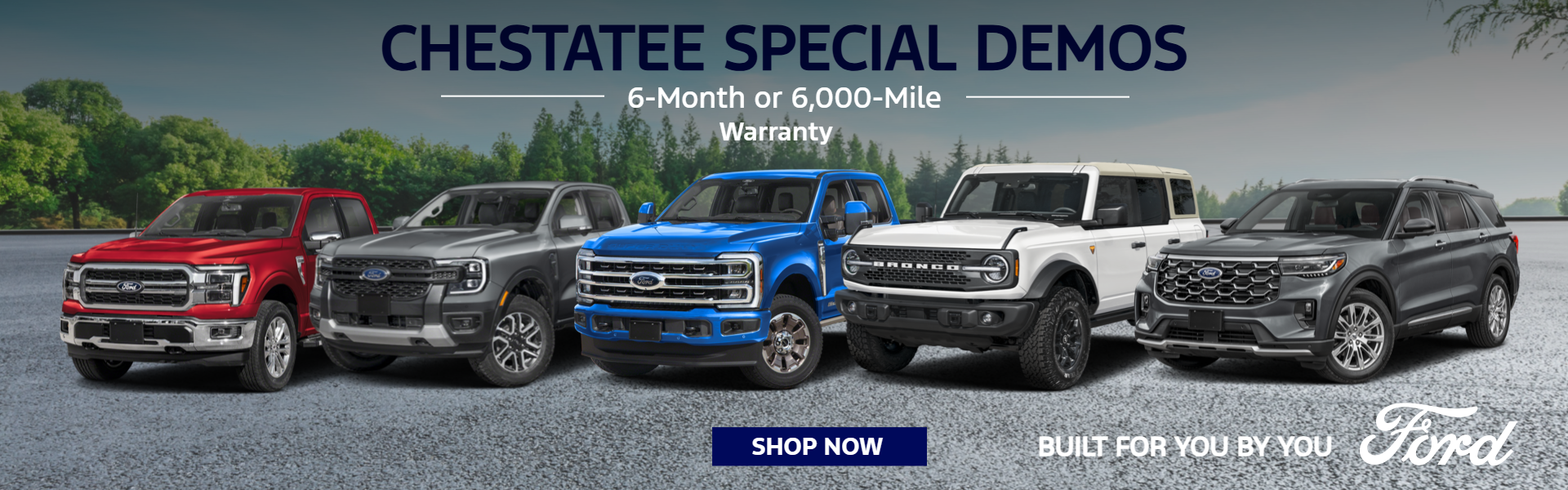 Chestatee Demo Specials